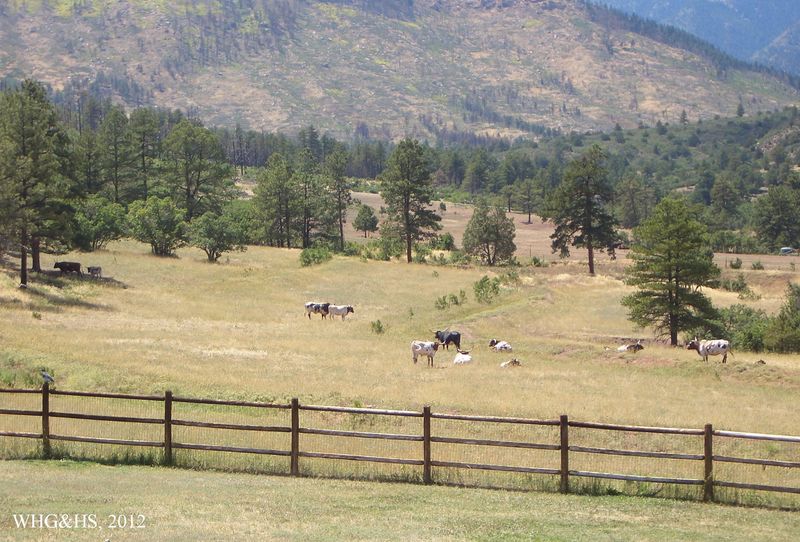 Hamilton Ranch 2012 035
