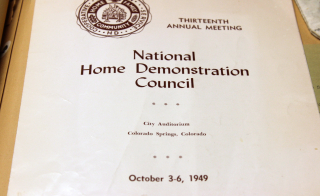Home Demonstration Council 1949