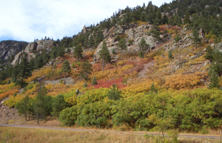 2013 calendar cover-1