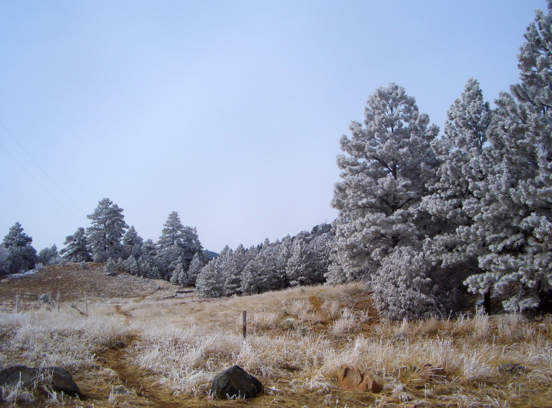 Wetmore Landscape 2017 221