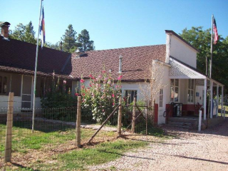 Hollyhocks at post office 