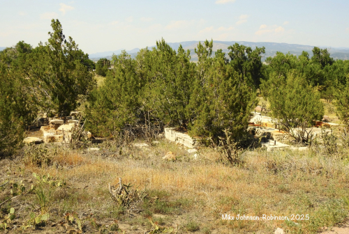 Old Foundations hiding in the trees
