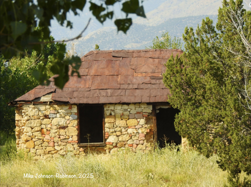 Old Miners cabin Homestead across from the park 