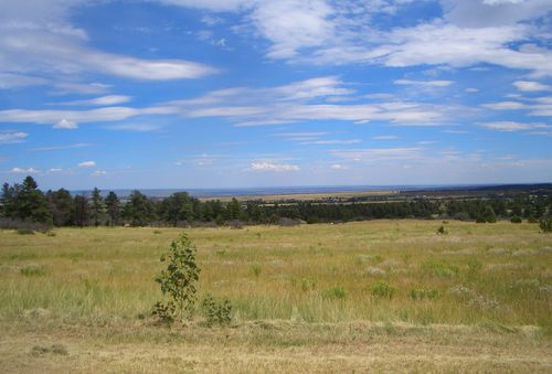 Ice Cream Social 2015 