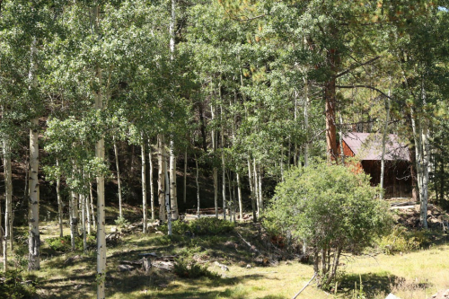 Aspen Grove at Silver Park Ranch