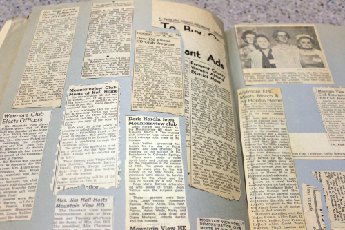 Mountain View Home Demonstration Club