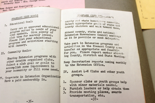 Mountain View Home Demonstration Club  