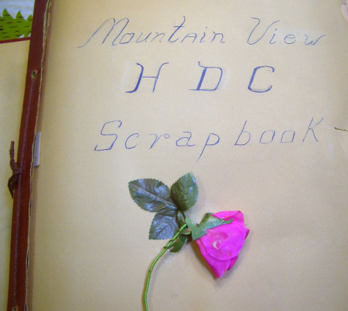 Betty Gray's Mountain View Home Demonstration Club Scrapbook