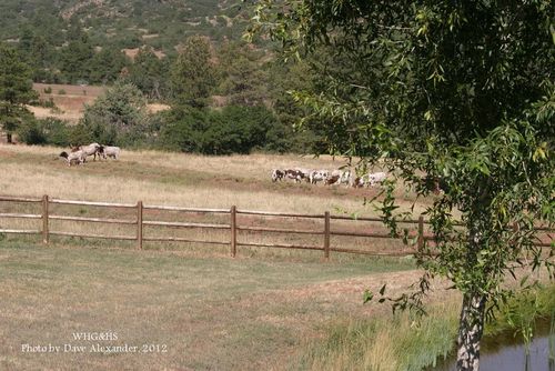 Babcock Hole, Hamilton Ranch