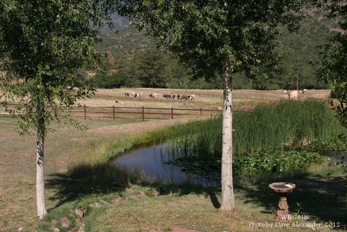 Babcock Hole, Hamilton Ranch