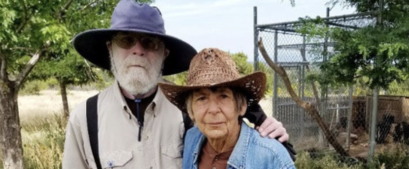 Cec Sanders, October 2025