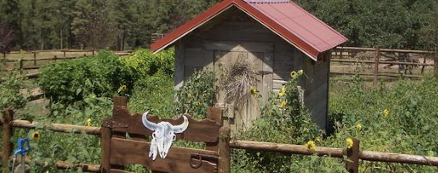 Tour of the Hamilton Ranch at Babcock Hole, Wetmore, August 20, 2012