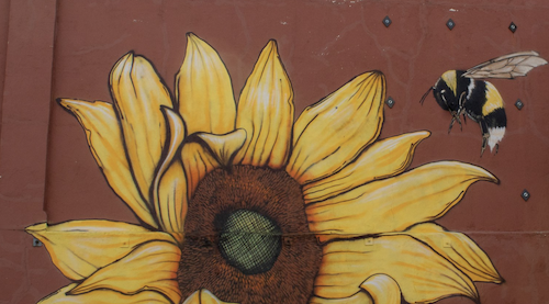 Pueblo: Downton Neon Alley, Signs, and Murals