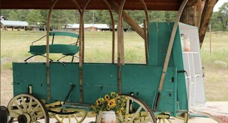 Trinity Ranch Ice Cream Social, August 8, 2015